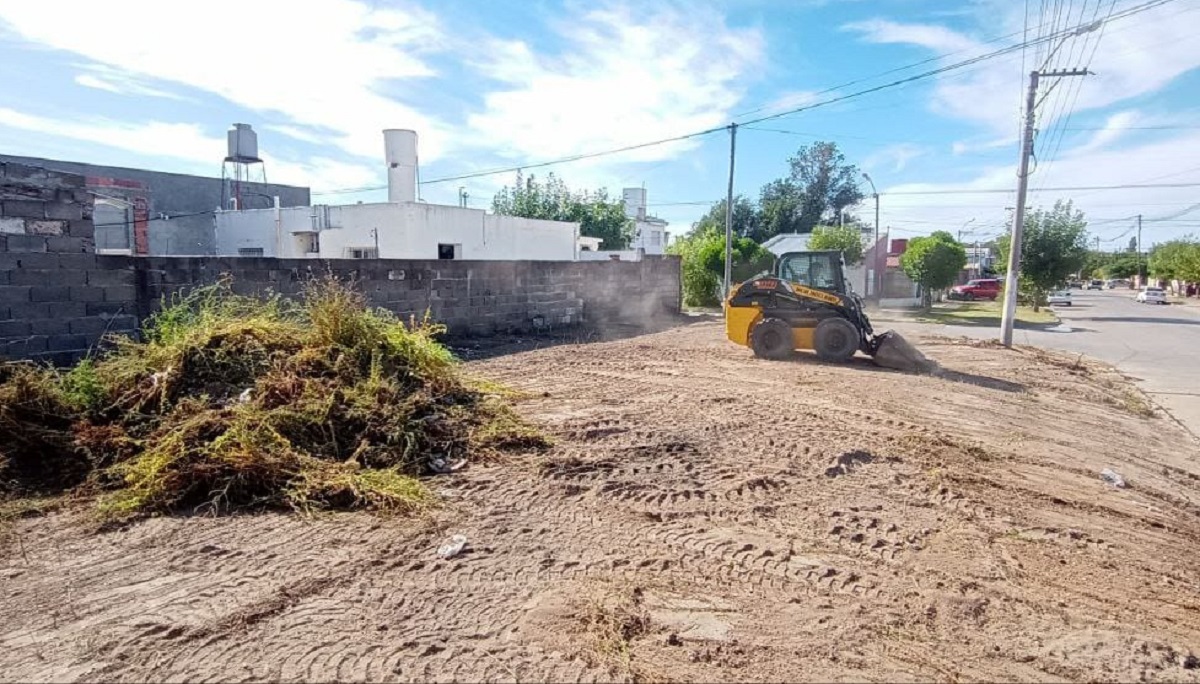 Equipamiento de la secretaría de Servicios, Espacio Público y Ambiente de Viedma, desarrollaron tareas sobre terrenos baldíos. 