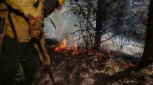 Imagen de Nuevo incendio forestal cerca de El Bolsón: brigadistas combaten las llamas y esperan refuerzos