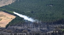 Imagen de Incendio en parque Los Alerces: ya van 12 días de fuego activo y más de 7.500 hectáreas afectadas