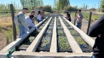 Imagen de Aprovecharán las aguas cloacales para obtener energía para calefacción