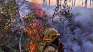 Incendio en parque Los Alerces: altas temperaturas complicaron a brigadistas y mañana «será más caluroso»