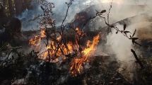 Imagen de Incendios en Parques Nacionales: dos miradas a futuro