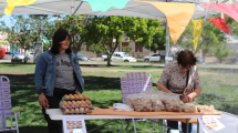 Imagen de Ferias de productores y emprendedores, este finde en Choele y Conesa