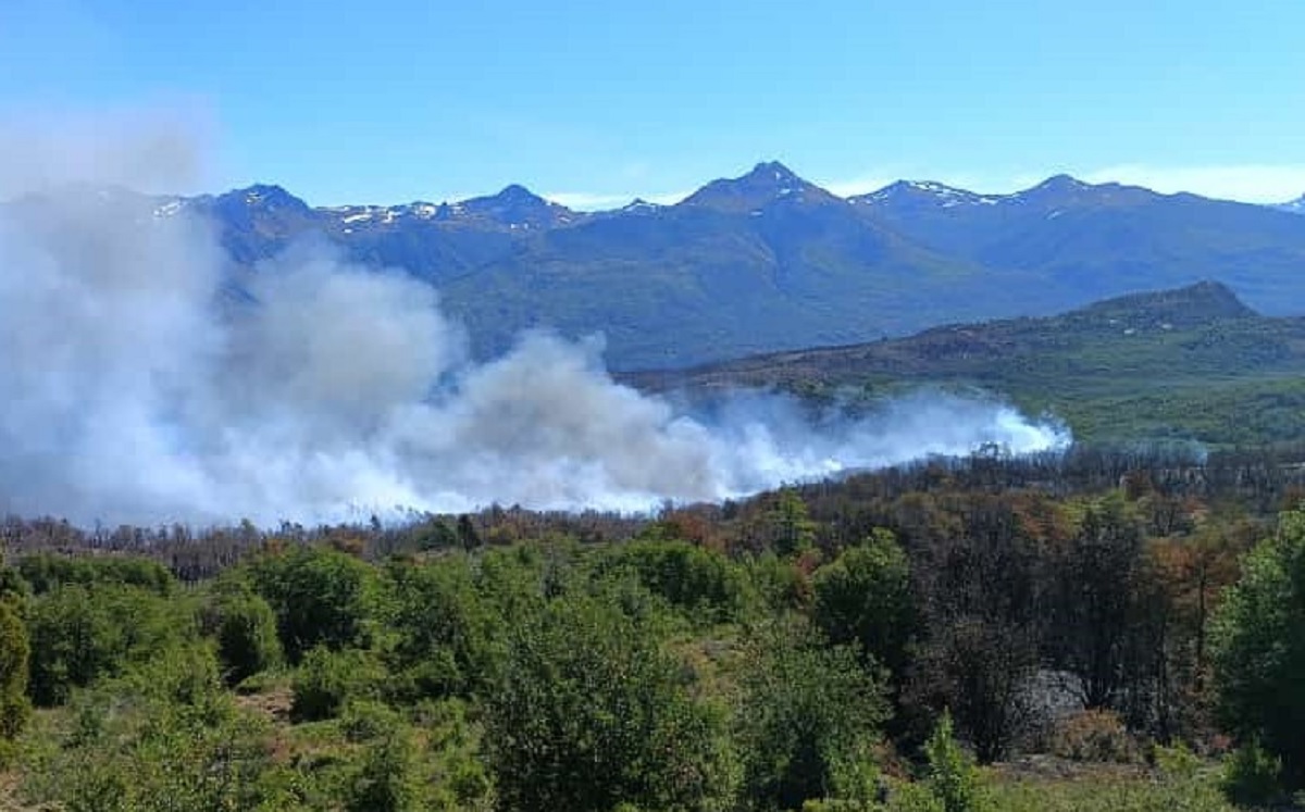 Uno de los sectores del incendio en Parque Los Alerces. 