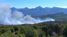 Imagen de Otra jornada de altas temperaturas condicionó el combate del fuego en el parque Los Alerces