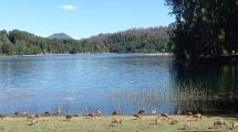 Imagen de Alertan por guías no habilitados y servicios irregulares de particulares en el parque Nahuel Huapi