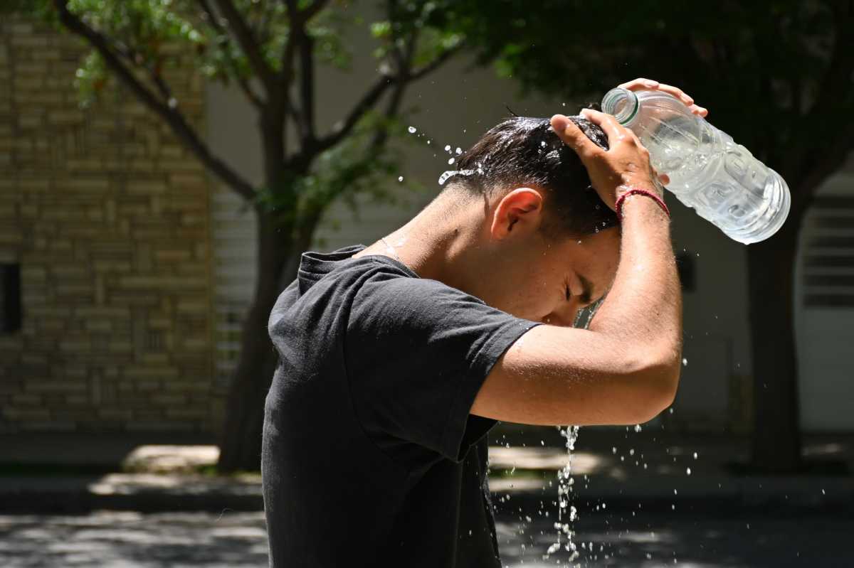 ¿Llegó antes el verano?: Octubre se despide con 37° de calor la próxima semana en el Alto Valle. Foto: Florencia Salto