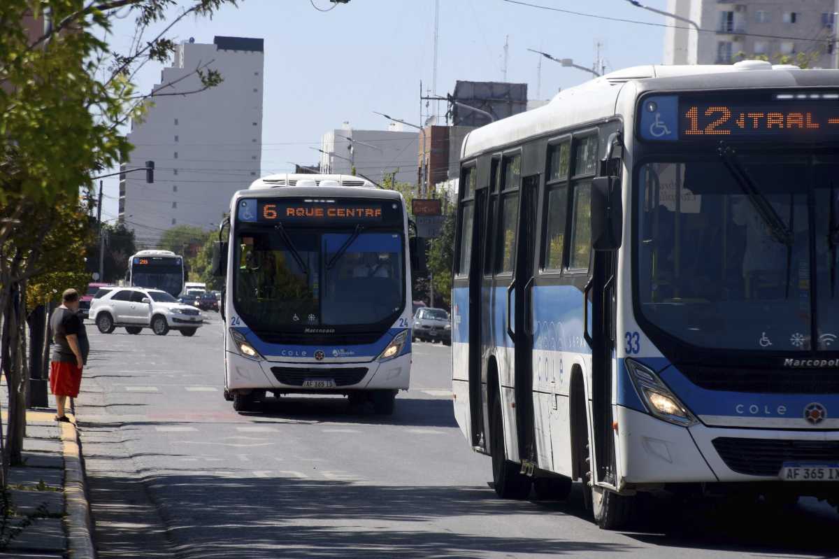 El boleto de colectivo en Neuquén debería costar $2.400 si no tuviera subsidio (Matías Subat)