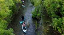 Imagen de Descubrir los secretos del río Limay desde una tabla de SUP en Neuquén