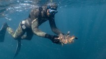 Imagen de Semana Santa en Las Grutas y Playas Doradas se preparan con eventos en las playas y el mar