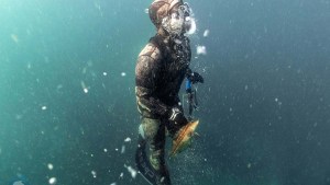 Video: Pesca submarina, los secretos de bucear, atrapar peces con arpones y cuidar el ambiente