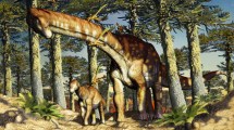 Imagen de Ayudar a la ciencia a encontrar dinosaurios es posible en Patagonia 