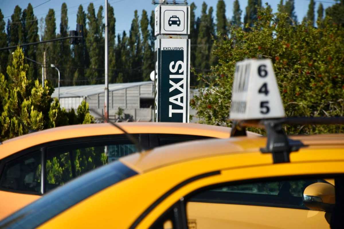 Lanzaron créditos para renovar taxis en Neuquén. Foto: Matias Subat