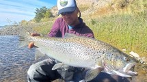 Imagen de Se vienen las truchas gigantes del Limay Medio: secretos de un guía que pesca misiles como esta marrón