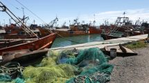 Imagen de Establecerán vedas para la pesca marítima en Río Negro y se profundiza la crisis del sector