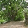 Imagen de Un paseo único en Neuquén, ideal para hacer una tarde con sol