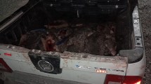 Imagen de Decomisaron carne de una especie protegida en Viedma