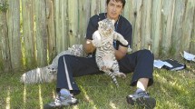 Imagen de El veterinario de Roca que curó tigres, pumas y guepardos: «Los gatos son la mascota del futuro»