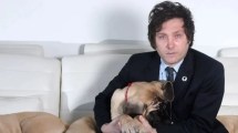 Imagen de Adónde están los perros mastines de Javier Milei: El dato clave sobre su paradero