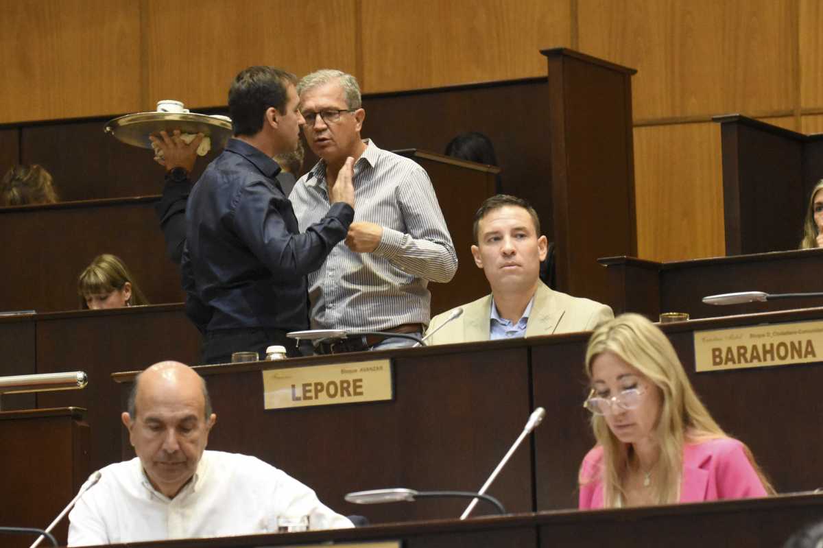 El PRO votó en disonancia con el oficialismo de Figueroa en la Legislatura. Foto: archivo Matías Subat.