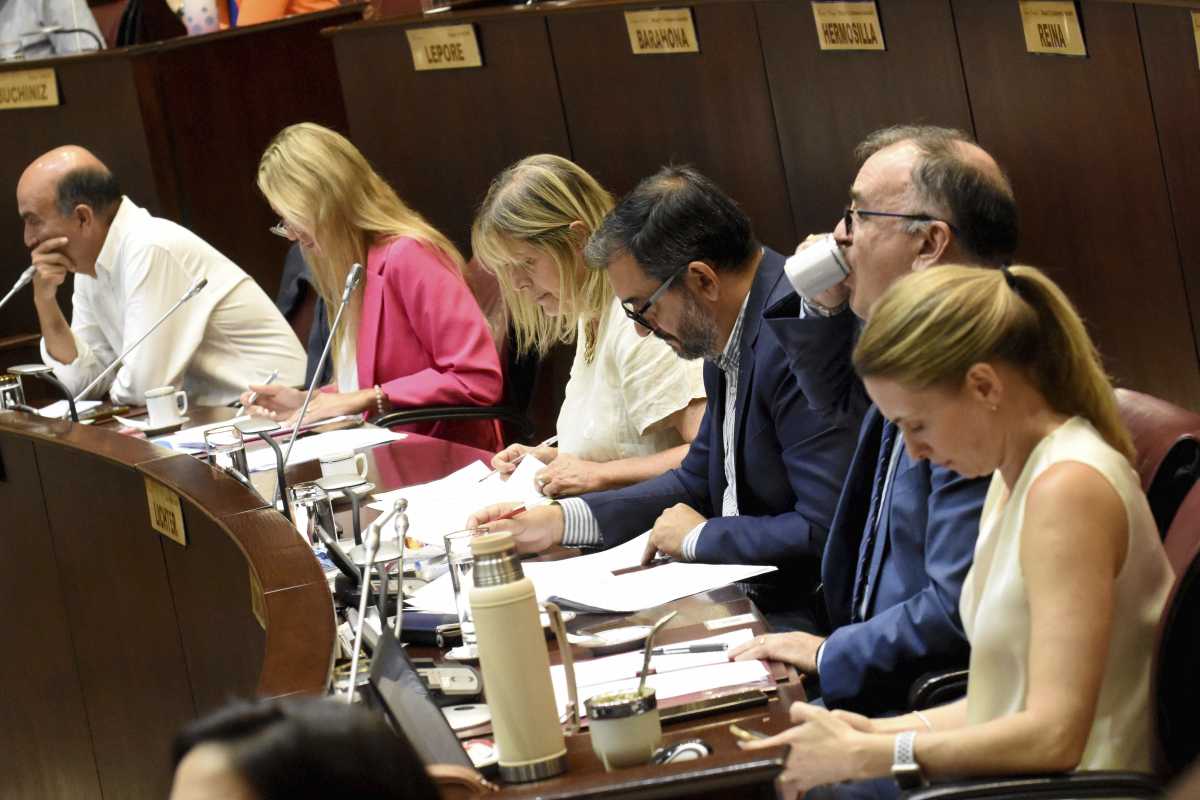 Arriba Neuquén y el PRO tienen varios proyectos sobre educación. Foto: Matías Subat.