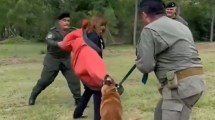 Imagen de Video: Patricia Bullrich fue atacada por un perro de seguridad durante una demostración