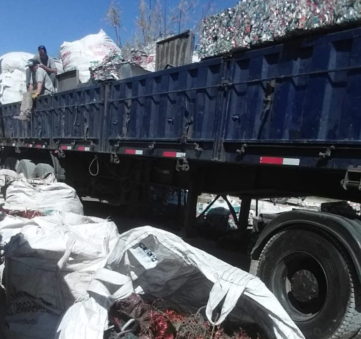 El material fue secuestrado el sábado en una serie de diligencias que encabezó la policía de Río Negro. foto: gentileza.