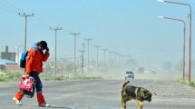 Imagen de Alerta por viento: se vienen ráfagas de más de 90 km/h, qué pasará en Neuquén y Río Negro