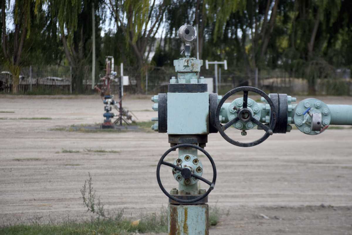 Las empresas que lideran el ranking de ofertas ya fueron informadas a las provincias. Foto: Matías Subat. 