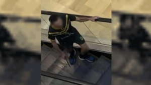 Terror en un shopping de Australia: un hombre apuñaló y mató a seis personas