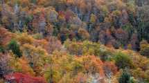 Imagen de Escapada de otoño a Bariloche con descuentos de hasta el 30% en turismo