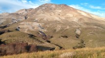 Imagen de Por qué el volcán Puyehue es uno de los más peligrosos de Chile y la región