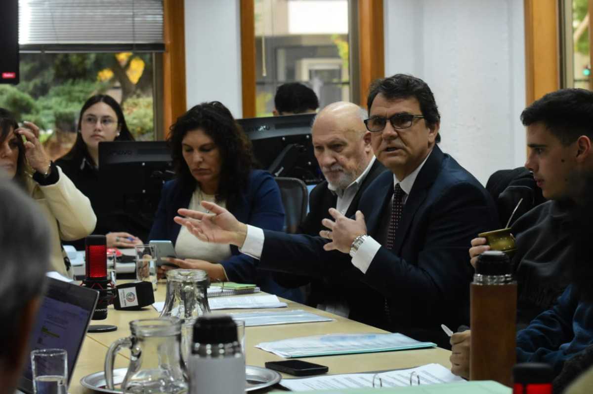 Silvana Género y Gastón Rambeau apelaron la negativa de ingresar el proyecto por iniciativa popular de la presidenta del Concejo, Claudia Argumero ( foto archivo Cecilia Maletti)