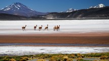 Imagen de Viaje por la Ruta de los Seismiles, el secreto mejor guardado del norte de la Argentina