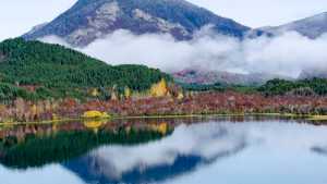 Verano en colectivo: el destino cordillerano más barato, los precios a Bariloche, San Martín de los Andes y más