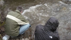 Descubren presencia de microcontaminantes farmacéuticos en el lago Nahuel Huapi