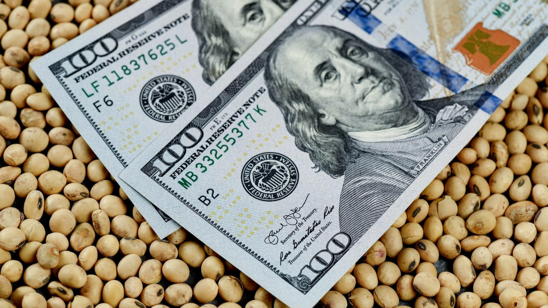 Agrodólares: el Gobierno se ilusiona con una aceleración de liquidaciones por la suba del dólar y de la soja.
