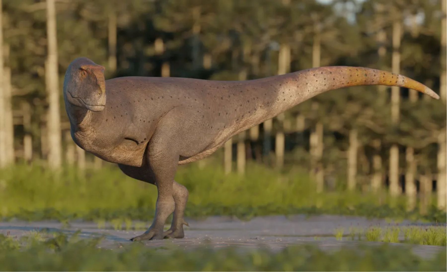 El hallazgo de la nueva especie de dinosaurio Koleken inakayali fue en La Colonia, al norte de Chubut. Foto: gentileza
