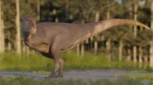 Imagen de Vivió hace 69 millones de años en la Patagonia, se llama Koleken inakayali y es el nuevo dinosaurio hallado por científicos del Conicet