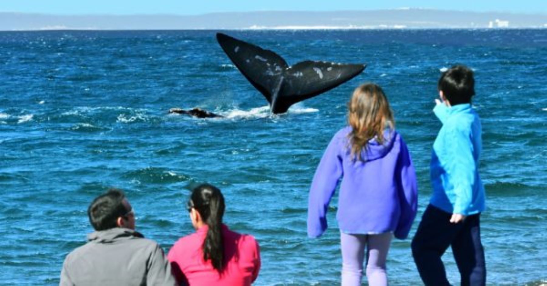 Los alumnos de 32 escuelas de Puerto Madryn realizarán visitas guiadas a El Doradillo