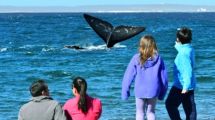 Imagen de Puerto Madryn: Los chicos visitarán a las ballenas en El Doradillo, la playa donde esas ‘gigantes’ se ven más cerca