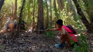 Estrena «Cerdiña, la niña y el jabalí», la obra que indaga nuestra relación con la naturaleza y con las emociones