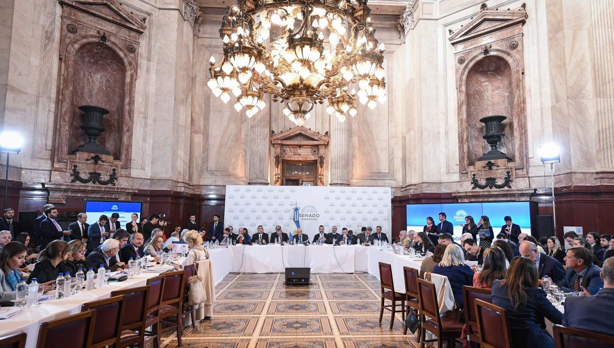 El Senado retoma este lunes el debate. Foto Senado de la Nación.