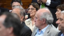 Imagen de Ley Bases: la Rosada ya afina la estrategia para el regreso a Diputados tras la demora en el Senado