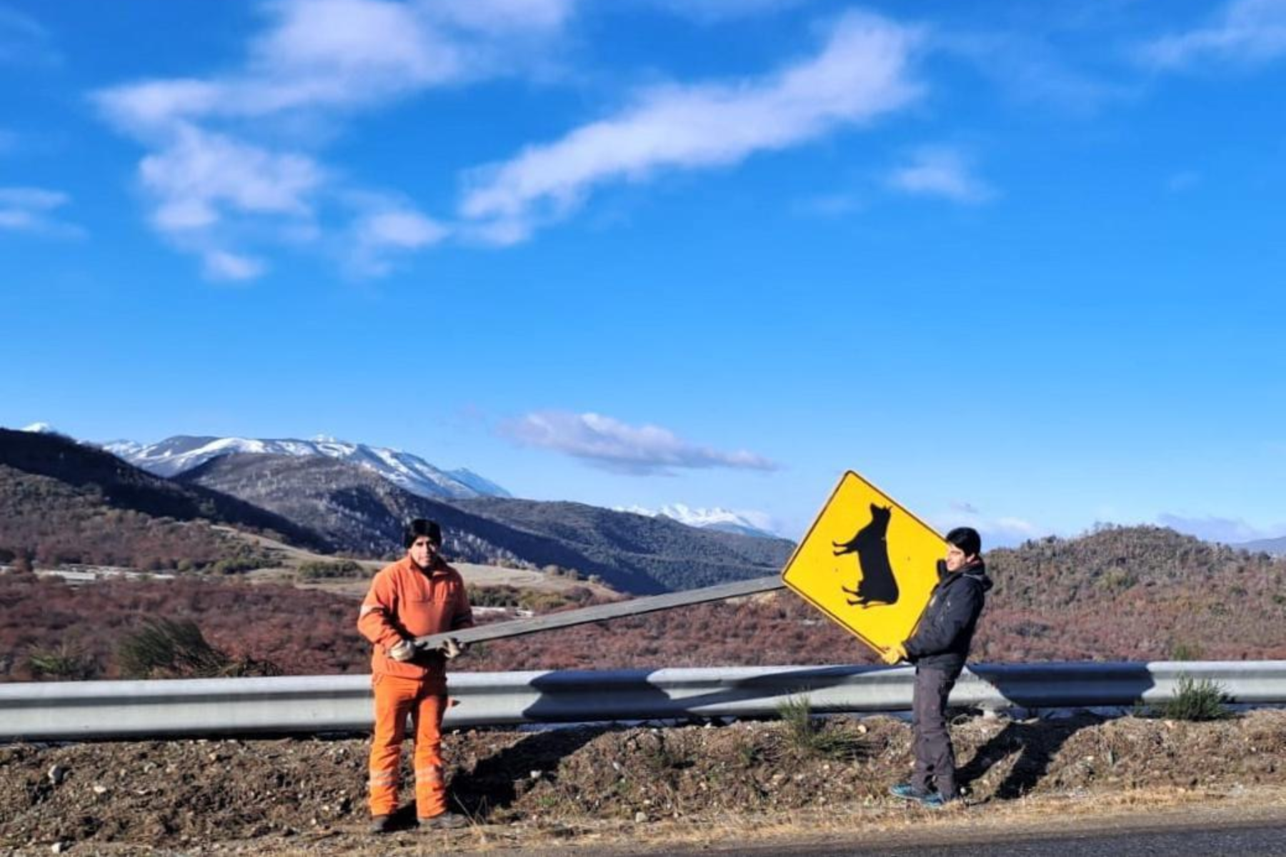 La nueva cartelería preventiva en la Ruta 40 busca mejorar la seguridad vial entre Bariloche y El Bolsón en medio del frío patagónico. Foto Vialidad.