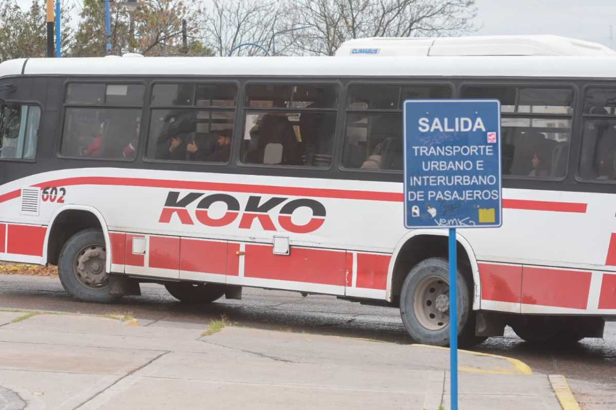 Colectivos KoKo en el Alto Valle.