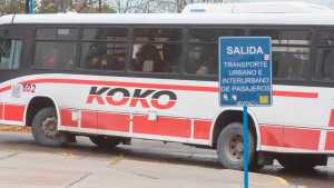 Río Negro suma frecuencias de colectivos KoKo en el Alto Valle, desde este lunes: recorridos y horarios