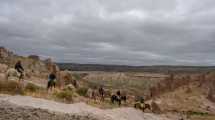 Imagen de De Varvarco a Los Bolillos a caballo, la travesía de los antiguos criollos en el norte neuquino