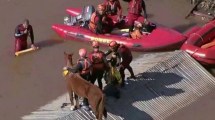 Imagen de Cómo fue el rescate de «Caramelo», el caballo que quedó atrapado en un techo por las inundaciones en Brasil