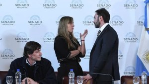 Ley Bases en el Senado: el debate sigue este jueves, sin dictamen a la vista aún para el oficialismo